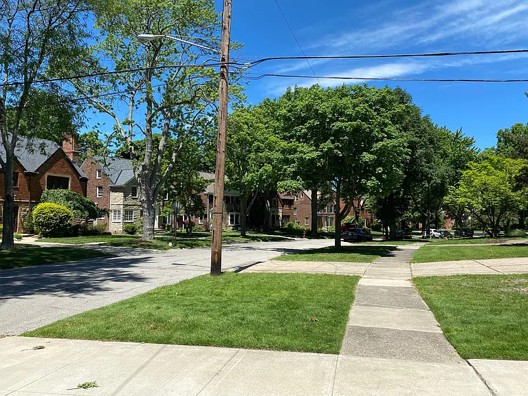 Neighborhood from Rear of House
