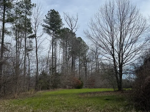 0 Whitfield Rd Tract B, Moundville, AL 35474