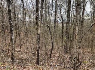 Spruce Dr, Spring city, TN 37381