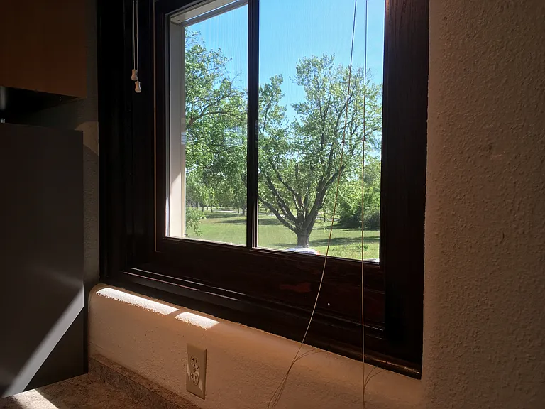 1447 Patterson Loop #207 — Photo 5