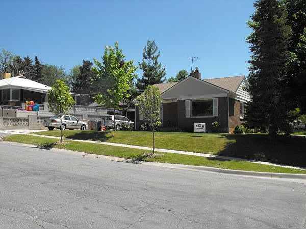 front yard