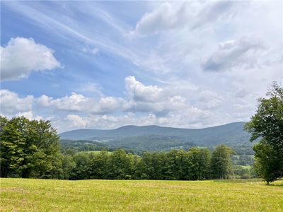 51 N Babbling Brook Rd, Bovina Center, NY, 13740