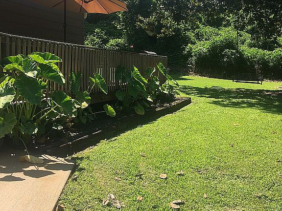 4th image of 1826 Skipland Dr