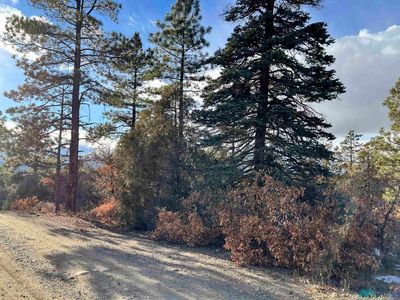 0 Road 1781, Chama, NM, 87520