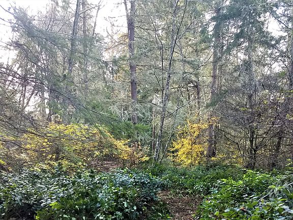 4th image of LOT 2 Bucsit Ln NE
