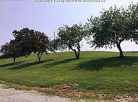 2nd image of 266 Emily Dr