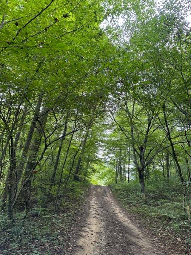 829 Adams Fork Rd, bville, KY 41180 MLS 11203765 Zillow