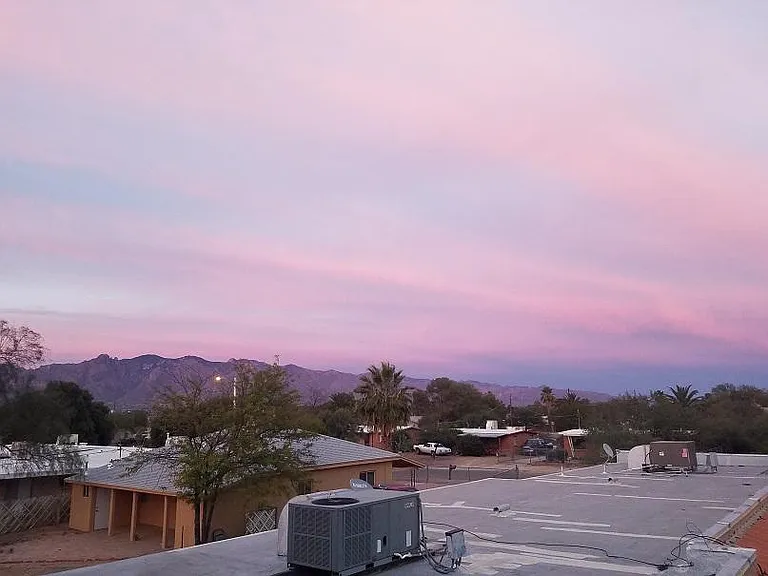 View from living room window.