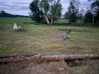 Badish Rd, Daggett, MI, 49821