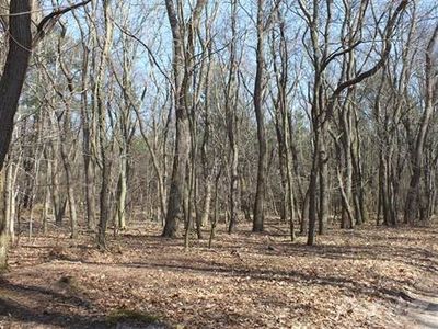 Ridge Rd #2, Pentwater, MI, 49449