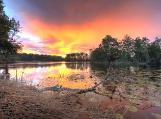 21542 Silver Bay Pl, Land O Lakes, FL 34637