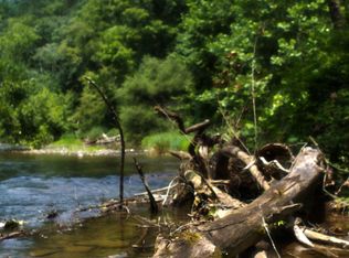 293 Barefoot Ln, Ivanhoe, VA 24350