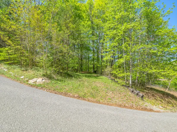 LOT 51 S Shorewood Ln, Caryville, TN 37714