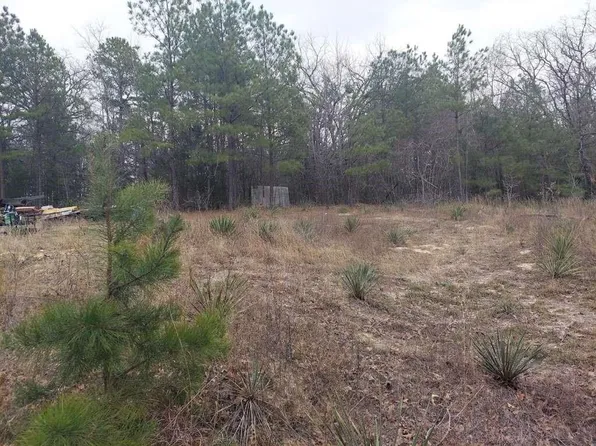 1115 Hickory Dr, Harleton, TX 75651