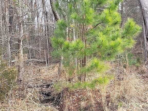 5th image of 0 Montgomery Rd