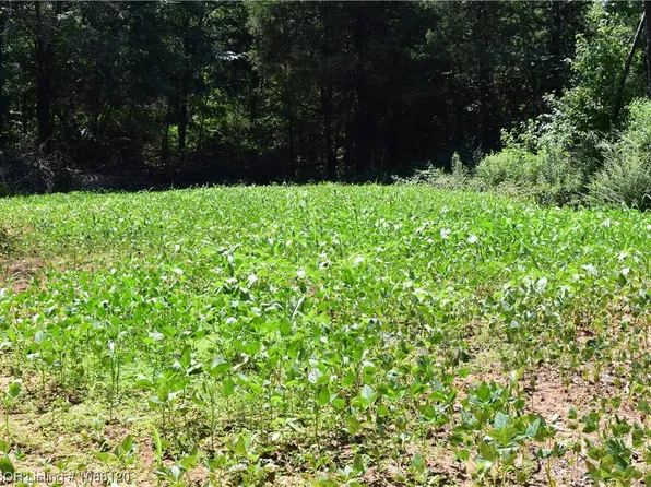 0 County Road 238, Charleston, AR 72933