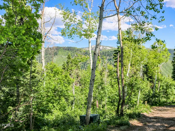 59 Quaking Aspen Dr, Fairview, UT 84629