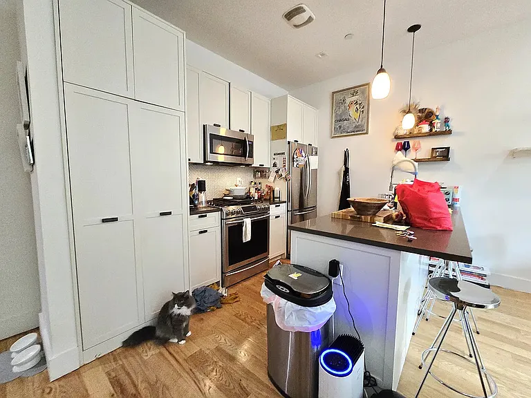 185 Schaefer St #1B — Photo 5