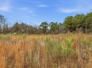 0 E Fayetteville St Lot 10006002, Smithfield, NC 27577