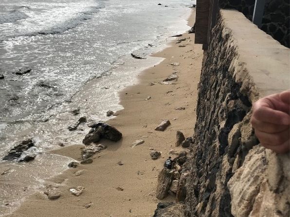 ewa-beach-hawaii-669375 picture