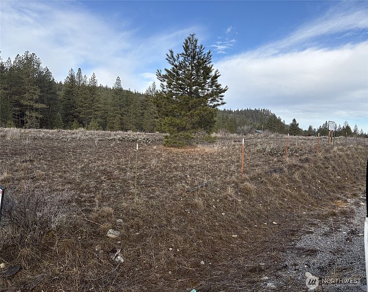 3rd image of 0 Tamarack Road