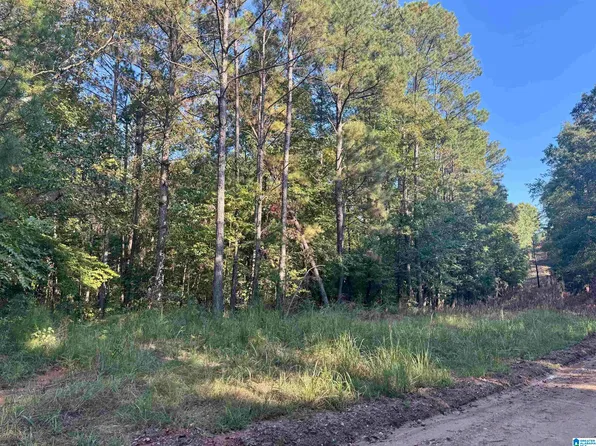 Lane Branch Rd #19.28, Wedowee, AL 36278