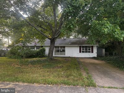 5215 Gilpin Dr, Springfield, VA, 22151