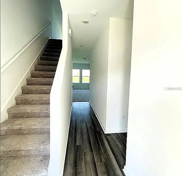 35545 Shade Fern Ln — Photo 5