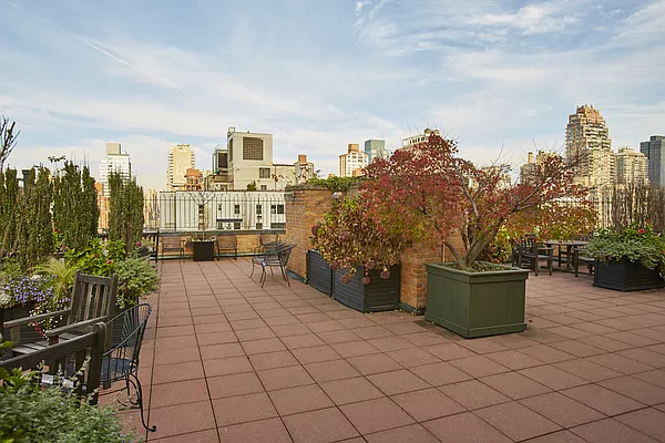 Sold by Stribling | media 5
