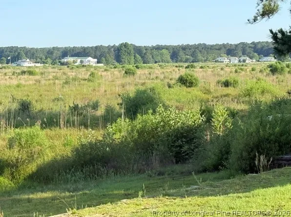 831 Castleberry Ct, Vass, NC 28394