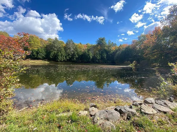 LOT 43 1 21 Horseshoe Lake Rd, Swan Lake, NY 12783