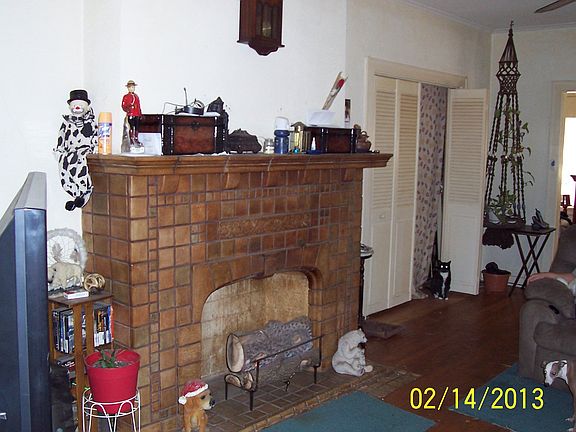 liveing room fire place