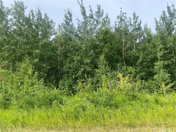  Rural Address, Paddockwood Rm No. 520, SK S0J 2N0