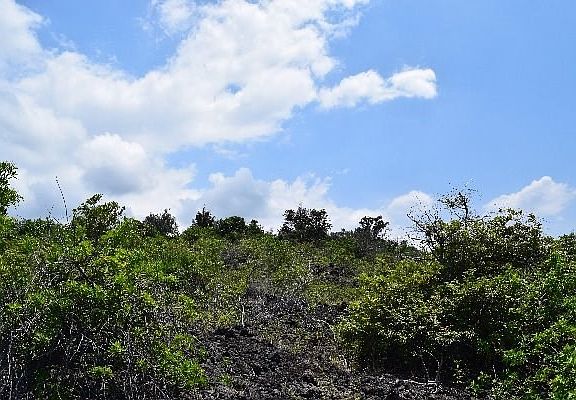 3rd image of 88-1476 Awapuhi Pl Lot 5