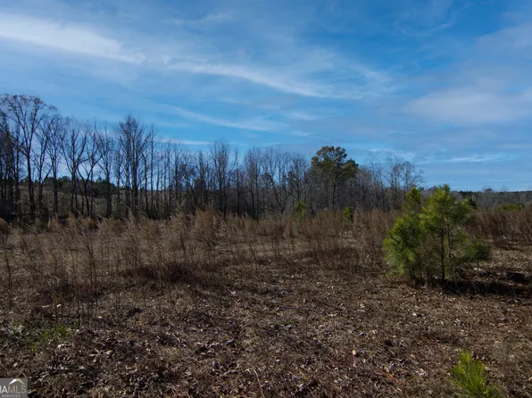 TRACT Six 0 Chestnut Grove Rd, Shiloh, GA 31826