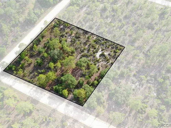 0 NE 132nd Ter Lot 5, Williston, FL 32696