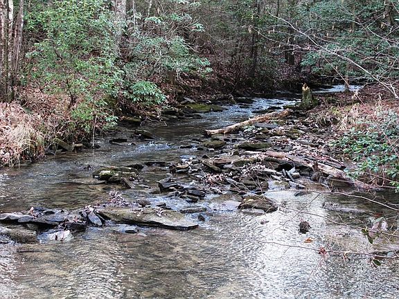 3rd image of 0 Big Neck Rd Lot 6
