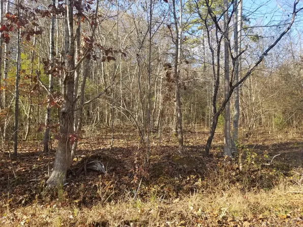 134 Anna Laura Ln, Rockwood, TN 37854