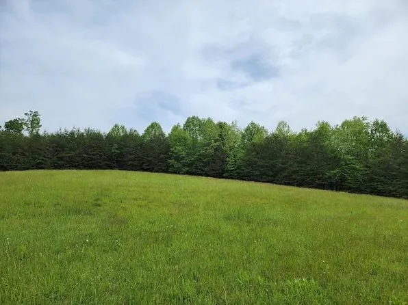 Tbd2 Shortcut Rd, Woolwine, VA 24185