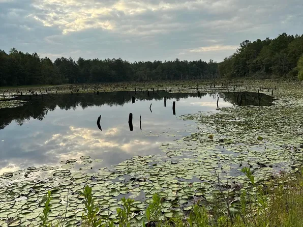 Hundred Acre Rd, Neely, MS 39461