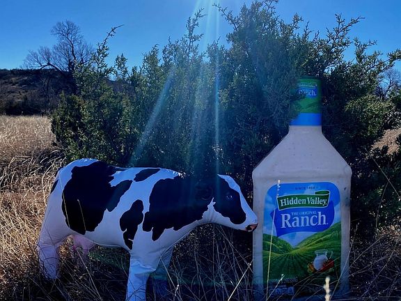 3rd image of 25 Hidden Valley Rd