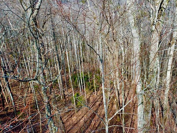 3rd image of 120 Croft Mountain Rd