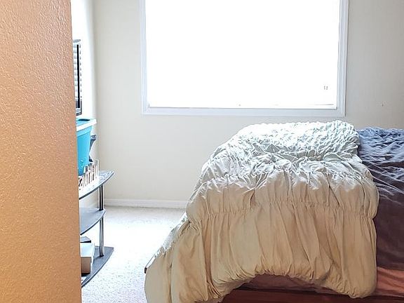 3rd image of 10265 Gandy Blvd N APT 1203
