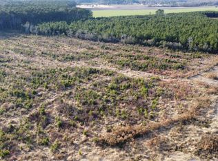 Lot 32 Talton Estates Drive, Pikeville, NC 27863