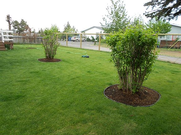 side yard