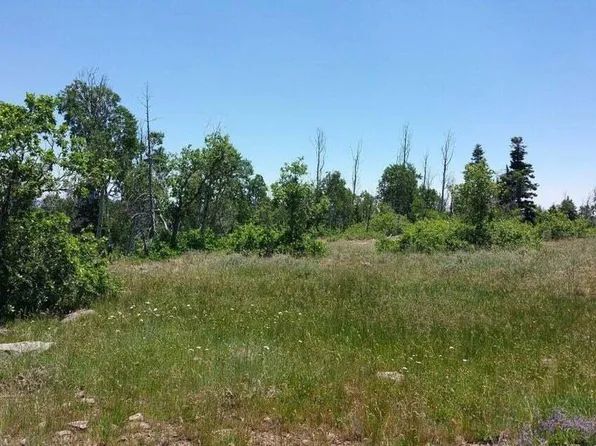 LOT 8 N Spring Dr, Virgin, UT 84779