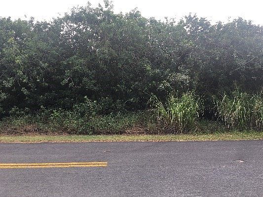 3rd image of Kaulua St Lot 385