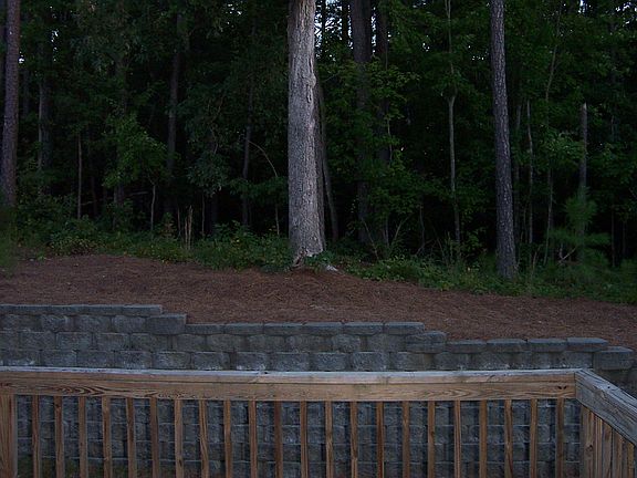 wooded view from back deck