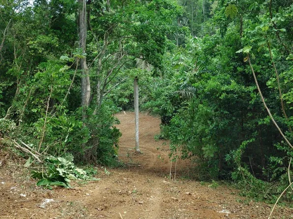 1 Bo Dominguito Ctr #651, Arecibo, PR 00612