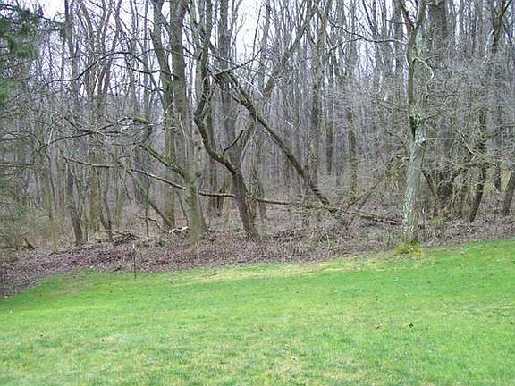 Endless wooded rear. Peace.